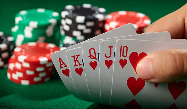 Có lẽ chơi poker hữu ích hơn học kinh tế trong đầu tư chứng khoán