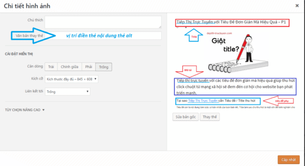 SEO Onpage là gì? Hướng dẫn chi tiết tối ưu SEO Onpage